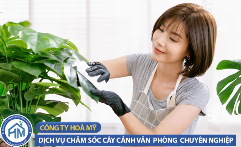 Chăm sóc cây cảnh văn phòng – Chuyên nghiệp & Minh bạch | Hòa Mỹ 2 dich-vu-cham-soc-cay-canh-van-phong-1